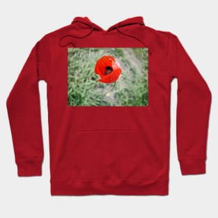 poppy Hoodie